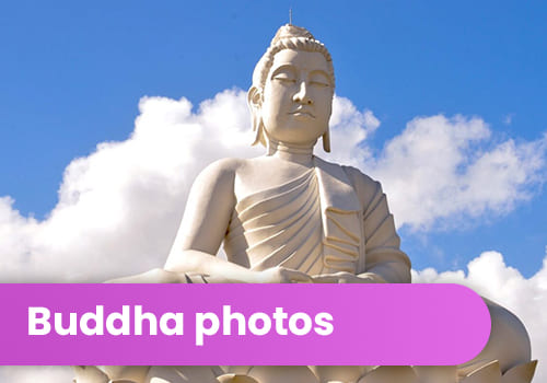 buddha photos