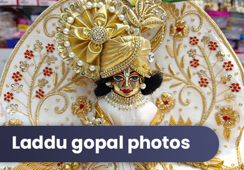 laddu gopal photos