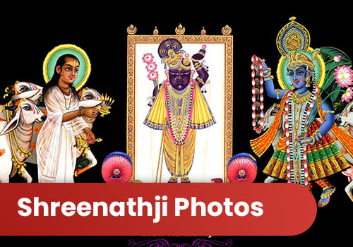 shreenathji photos